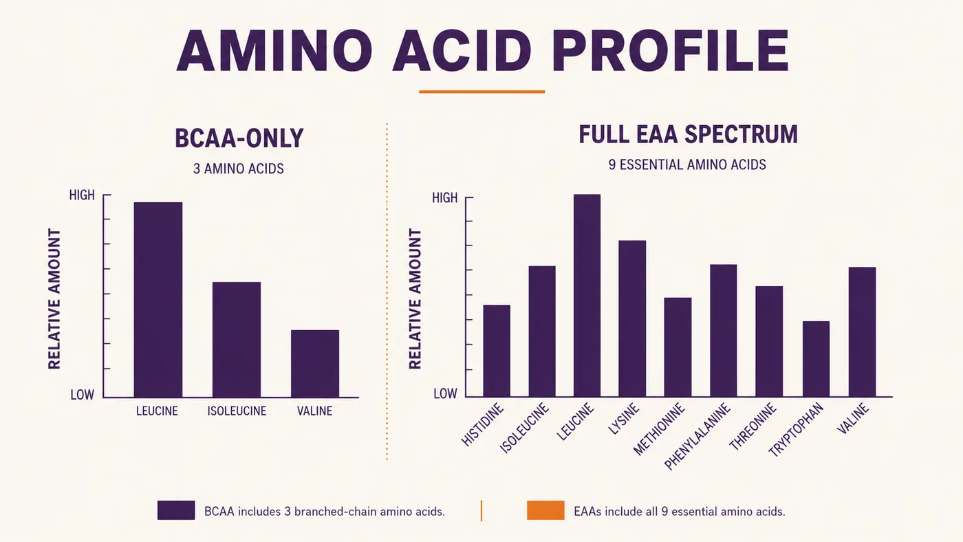 Chart comparing the amino acid makeup of a BCAA powder against a full-spectrum EAA powder